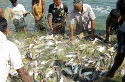 FISHERIES EDUCATION